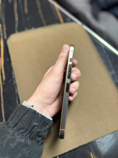 13ProMax 512gb 10/9 condition battery changed 2Month E sim time