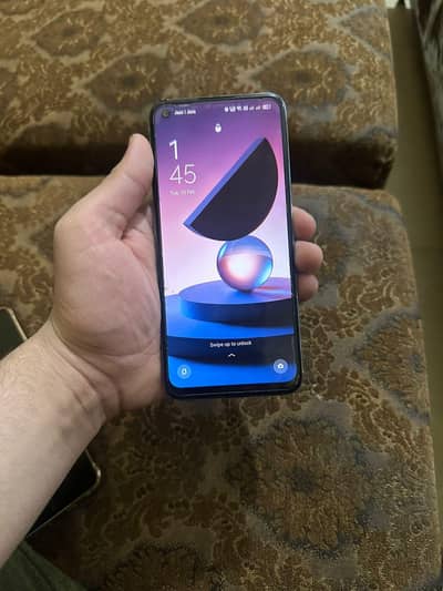 100% jenwen guranty wale cheeez ha