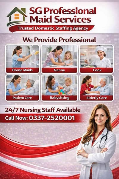 SG PROFESSIONAL DOMESTIC SERVICES