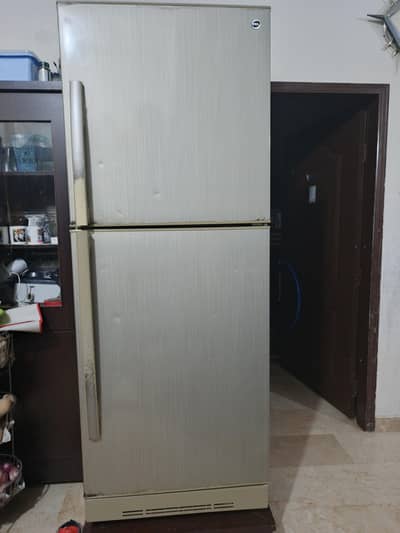 Pel jumbo Fridge for sale. V. good running condition best cooling
