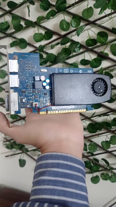 GT 630 2GB Graphics Card   Delivery Available