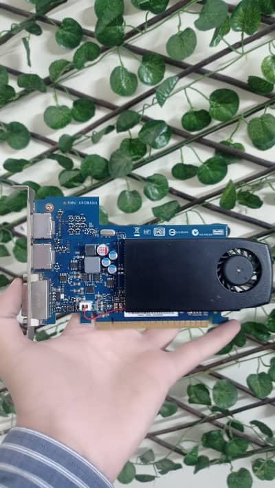 GT 630 2GB Graphics Card   Delivery Available