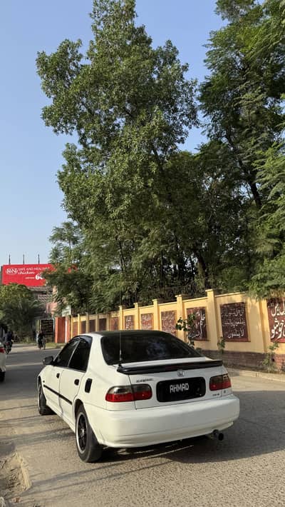 Honda Civic Dolphin Shape