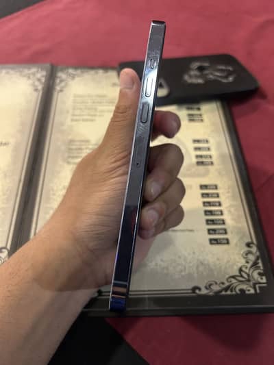 13 pro max factory unlock 256GB