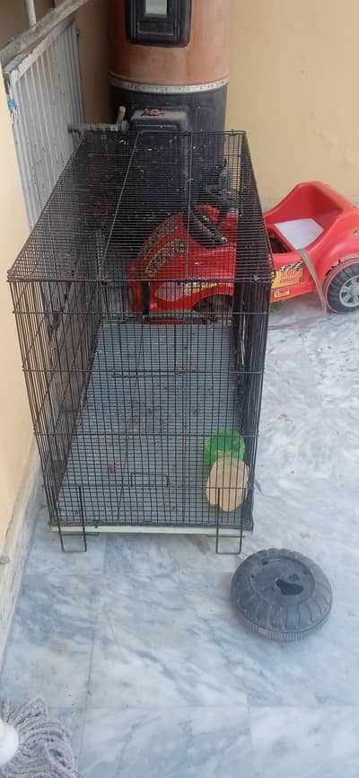 cage for hens, puppy & cat