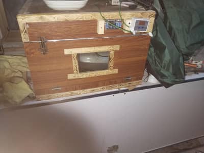 automatic incubator available for sale