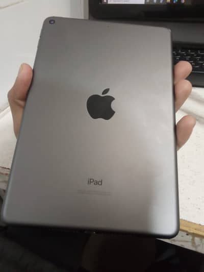 iPad mini 5 , pubg beast