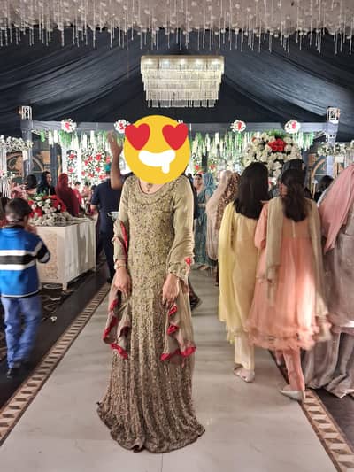 Bridal/ Formal/party wear /bridesmaid/ bride sister