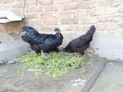 Ayaam Semani 1 Nar 2 Maddi