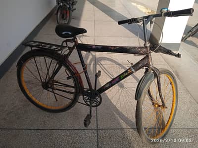 OVAL Company 26” Mountain Bike with Carrier