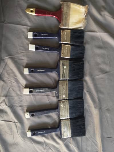 color Waly brush hen or Kuch disc hen