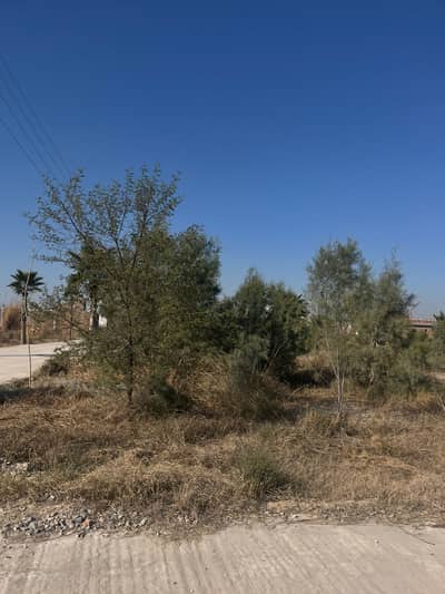 Residential Plot for Sale Zamar Valley Islamabad