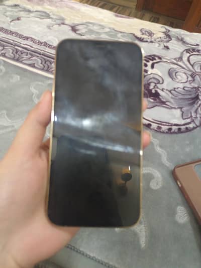 12 pro golden titanium 10/10 condition