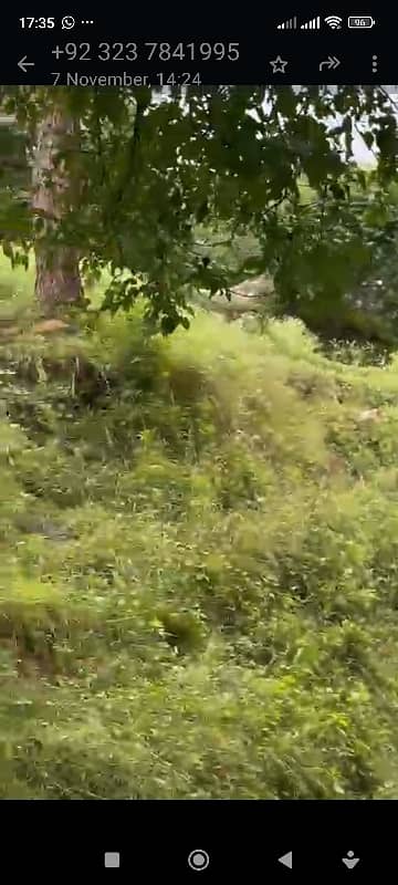 Commercial Available For sale In Khajut (Murree)