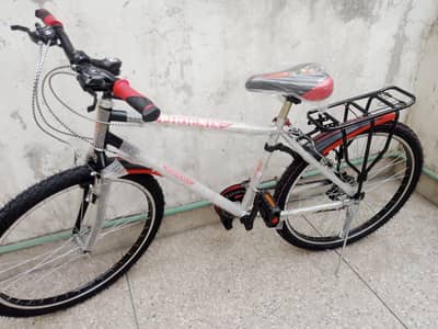 Phoenix Bicycle with Gears