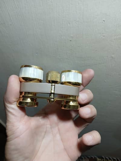 imported antique binoculars