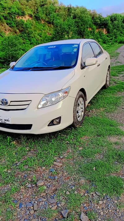 exchange gli 2017 and raiz