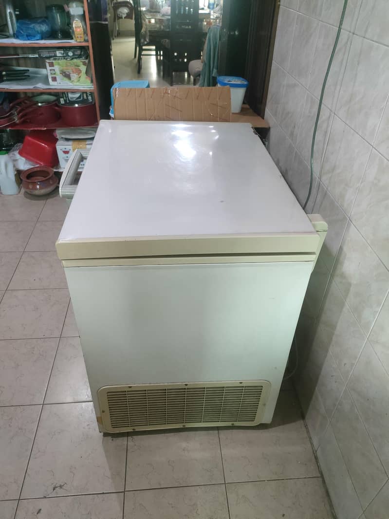 Dawnlance Deep Freezer 1