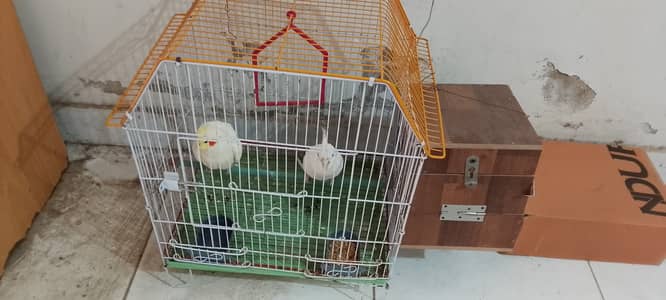 Cocktail Eno red eyes cream