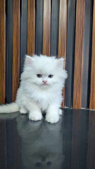 Jisko chiye rabta kare 03052106529