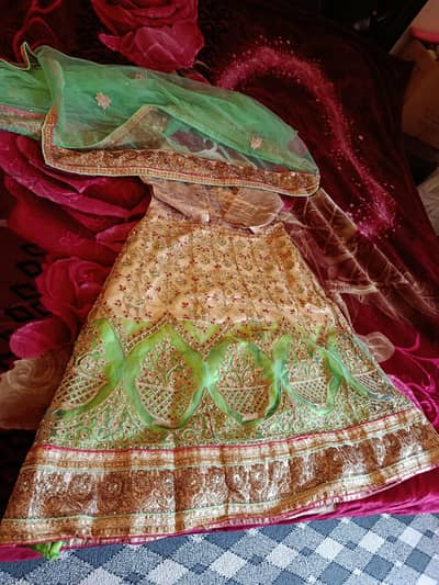 Indian Fancy Mehandi Gagra