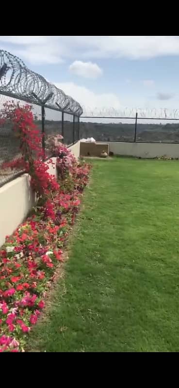 1100 Kanal Agricultural Land In Balkasar For Sale