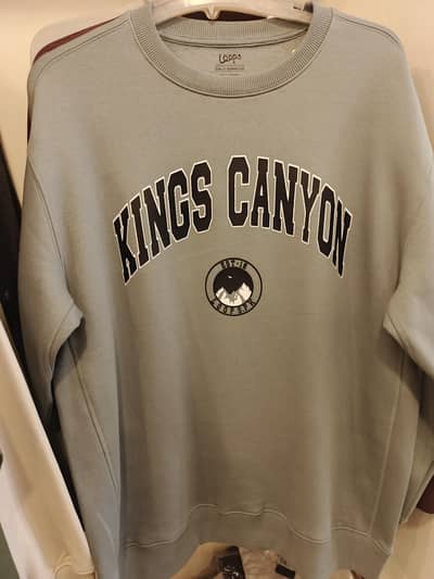 chenab chenone mens green  sweatshirt