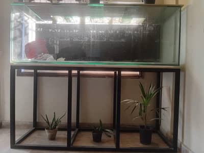 aquarium 6 square ft ft aquarium new aquarium