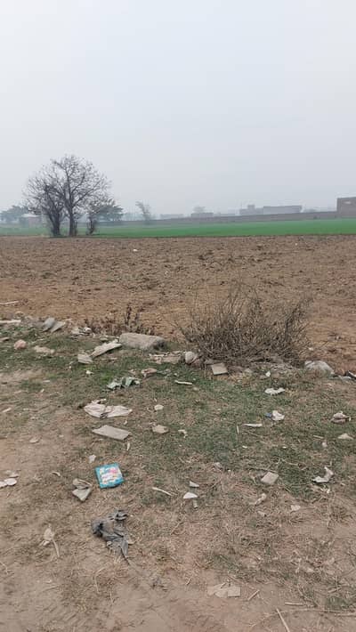 13 kanal commercial plot main wazirabad road randir stop