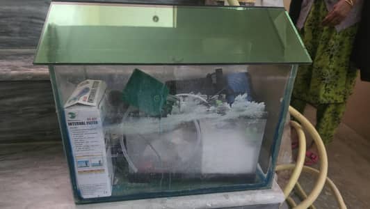 Glass Aquarium heaters Salt UV lights Filter Cleaners and much more