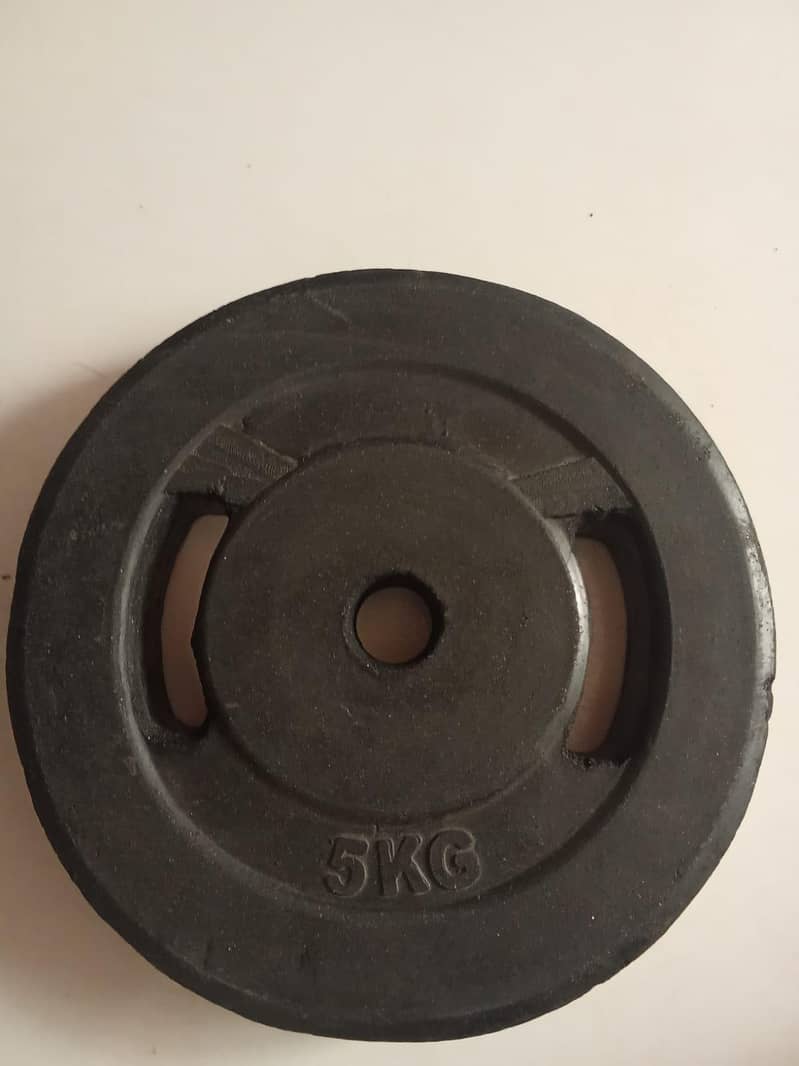 authentic weight  plates 2