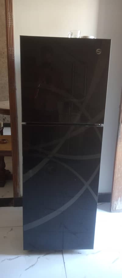 pel glass door fridge
