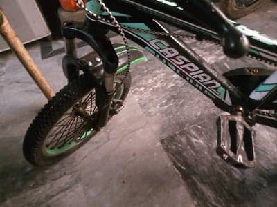 Cycle perfect condition