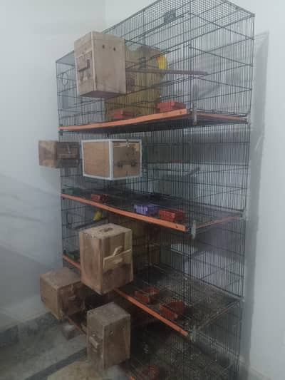 complete setup for sale