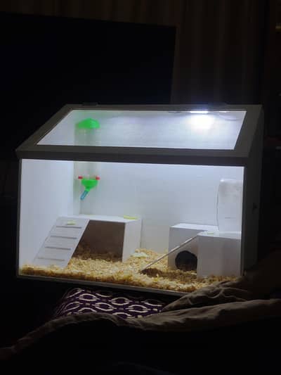 hamster cage for sale