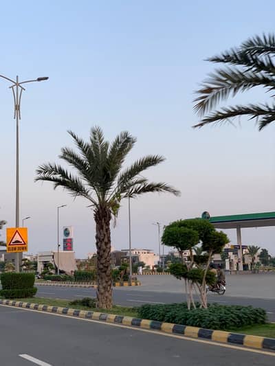 Fair-Priced Prime Location 10 Marla Residential Plot Available In Royal Palm City - Block F