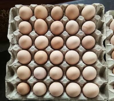 Desi Eggs | Desi Anday