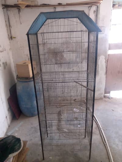 good cage hai