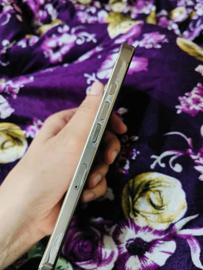 Iphone 16 Pro max PTA Approved