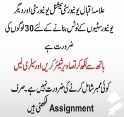 need female assignment work available abeera Khan official writing
