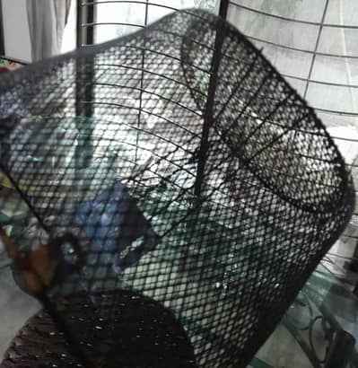 Cute bucket for cycles