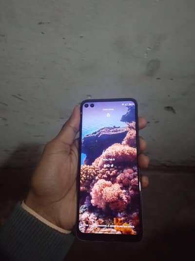 watsapp no 03095262325