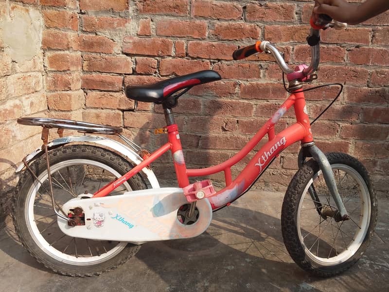Kid Cycle 1