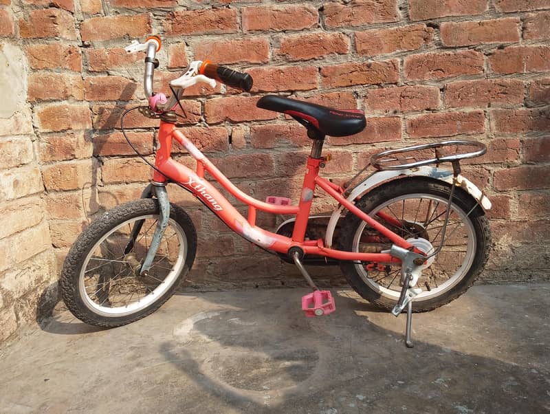 Kid Cycle 4