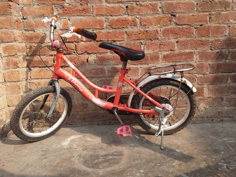 Kid Cycle 5