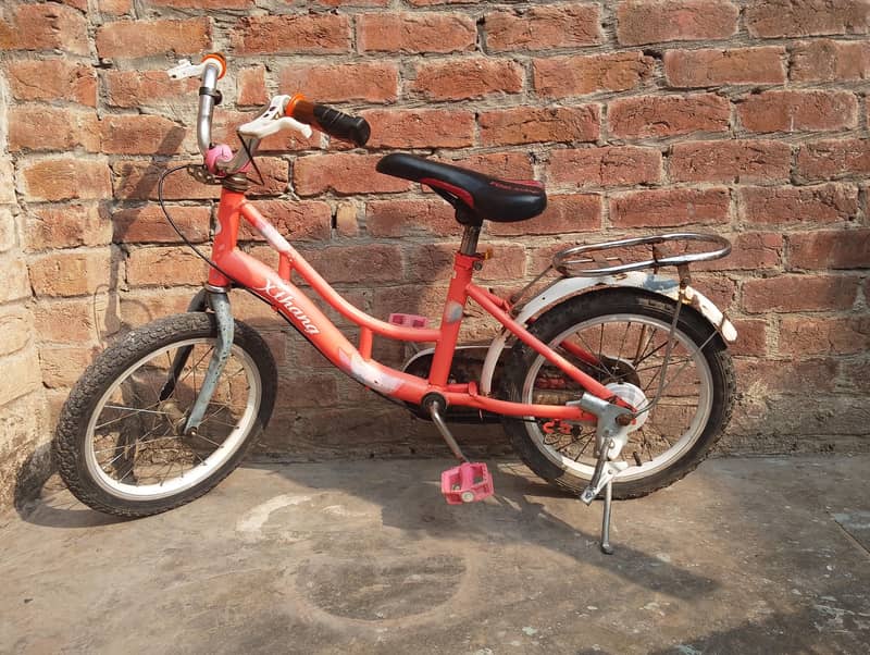 Kid Cycle 6