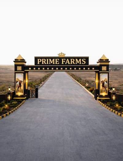 1,000 Sq. Yard Just Rs. 15 Lac! Limited Time Discount Offer