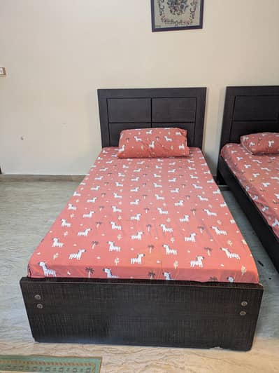 Solid Wooden Single Bed1600 (4 Available – 1 Unused)