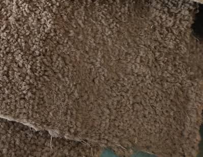 wall to wall carpets