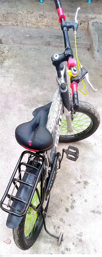 phoenix imports xycle